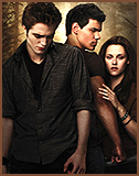 Twilight8